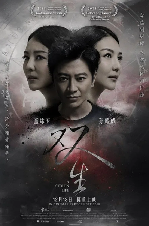A Stolen Life poster