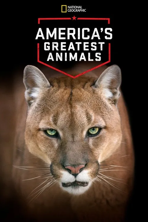 America's Greatest Animals poster