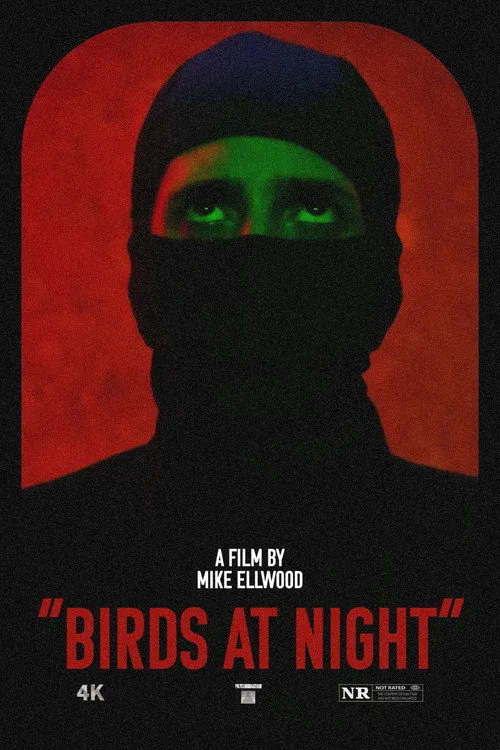 Birds at Night poster