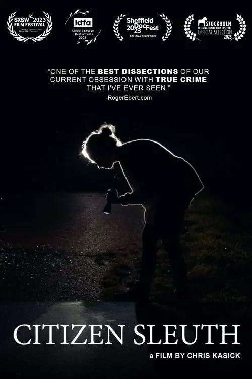 Citizen Sleuth poster