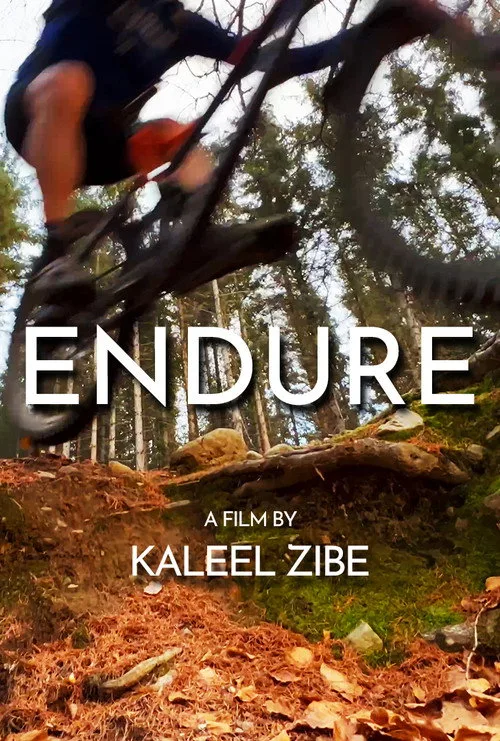 Endure poster