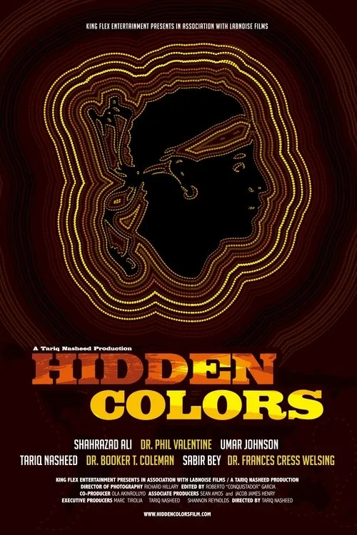 Hidden Colors poster