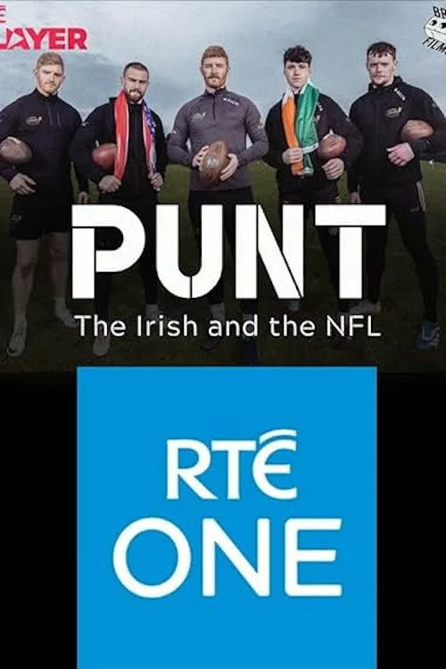 Punt: The Irish and The NFL poster