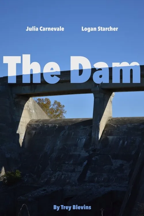 The Dam poster