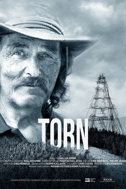 Torn poster