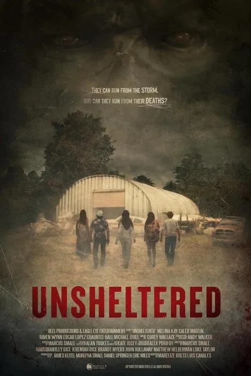 Unsheltered poster