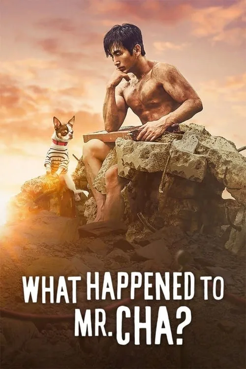 What Happened to Mr Cha? poster