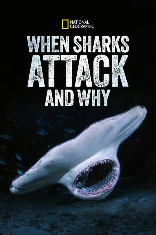 When Sharks Attack... and Why poster